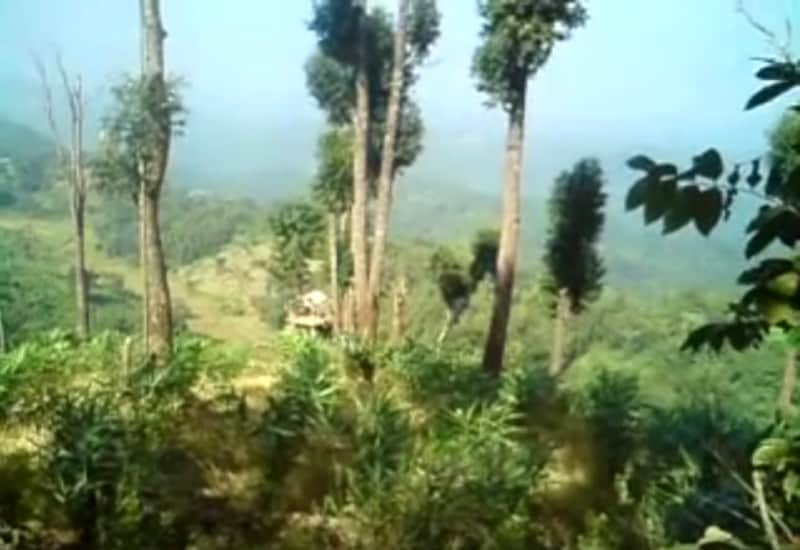 Survey to Assess Dwindling Assam Reserve Forest