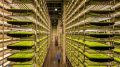 View inside an AeroFarms vertical farm - Photo courtesy of AeroFarms and the Jersey City Housing Authority