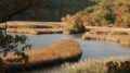 Iona Island marsh, a Hudson River tidal wetland, via NYSDEC