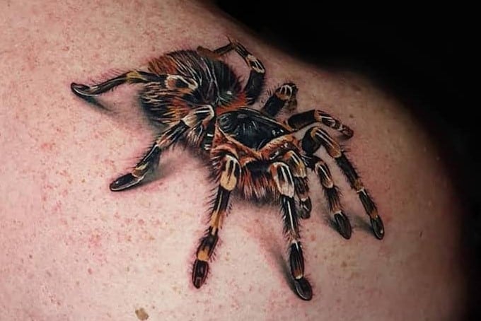 What do Spider Tattoo and Spider Web Tattoos Mean?