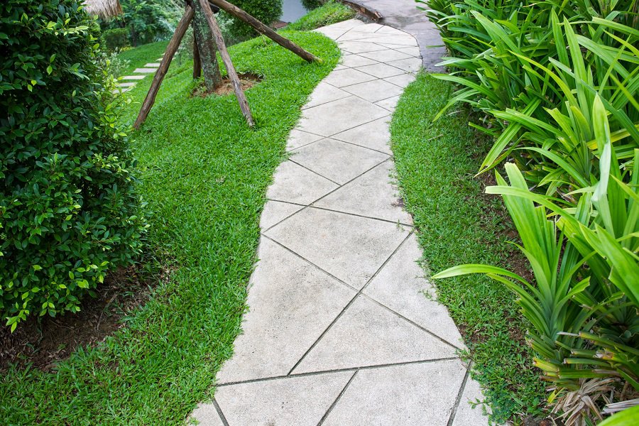 stone pathway back garden