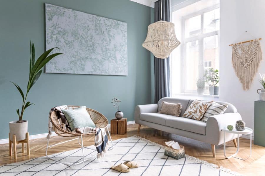 light blue accent wall boho living room gray sofa