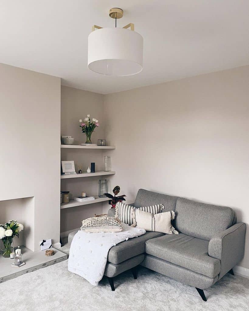 neutral living room with gray sofa