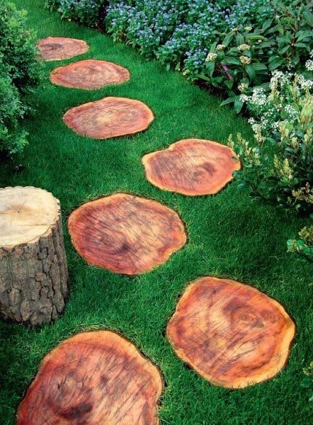 tree stump logs walkway