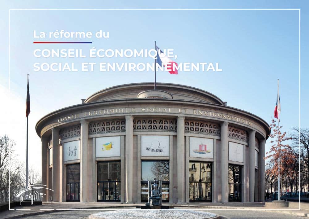 Conseil Economique Social et Environnemental