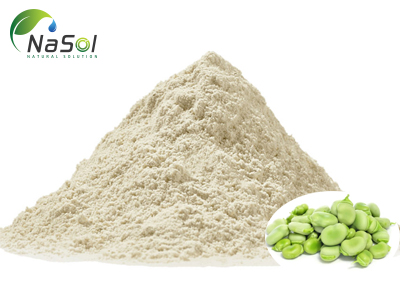 Peptide thủy phân protein từ đậu Fava (Whey thực vật)