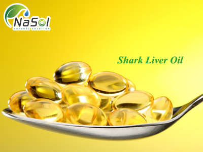 Shark Liver Oil (Dầu gan cá mập)