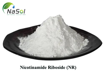 Nicotinamide Riboside (NR)