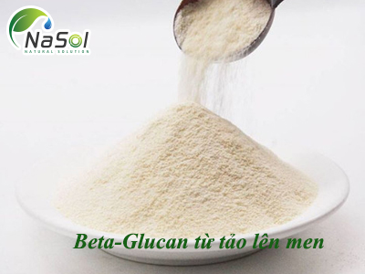 Nguyên liệu Beta-Glucan từ tảo lên men