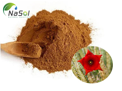 Caralluma extract (chiết xuất Xương rồng ấn)