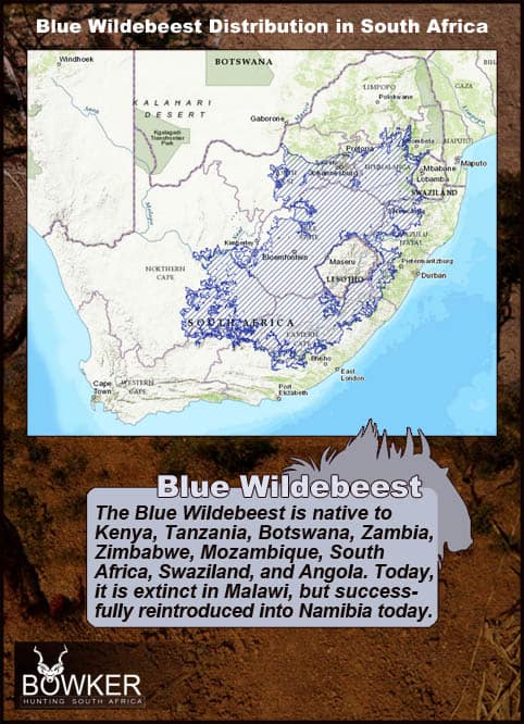 Distribution in South Africa