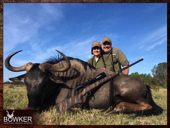 Blue Wildebeest hunting.