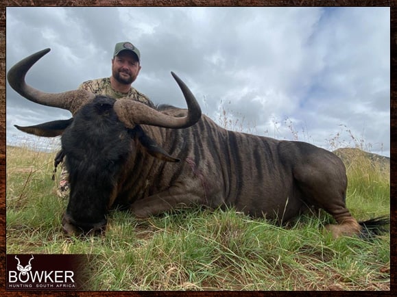 Safari style African hunt with Nick Bowker.