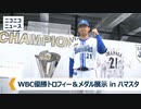 WBC2023優勝トロフィー＆メダル展示（横浜スタジアム）