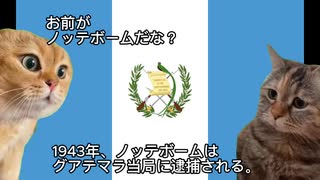 【猫ミーム】【国際法③】他国に「帰化」するための条件とは？【ノッテボーム事件】