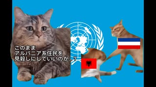 【猫ミーム】【国際法⑥】NATOの行動は正当化される？【人道的介入】