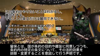 【猫ミーム】【国際法⑪】留保は許される？【ジェノサイド条約】