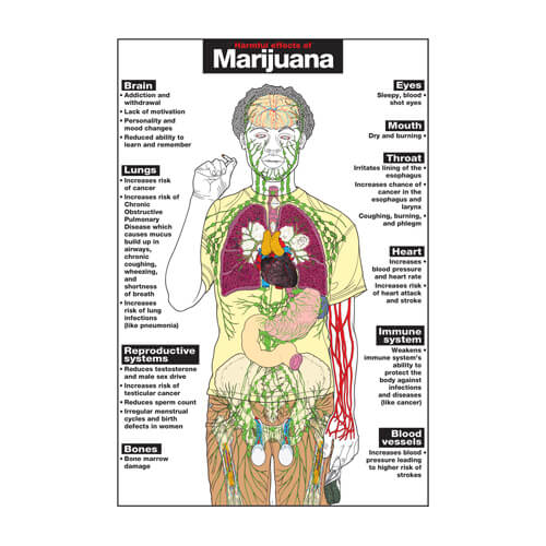 Marijuana Poster | NIMCO, Inc.