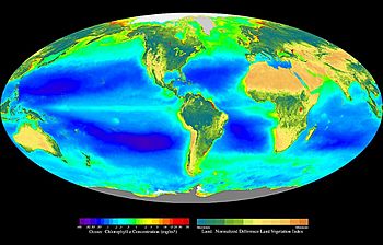 Archivo:Seawifs global biosphere