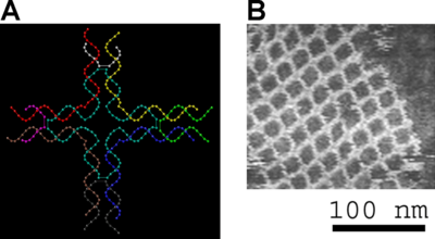 Archivo:DNA nanostructures