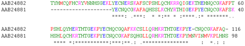 Archivo:Zinc-finger-seq-alignment2