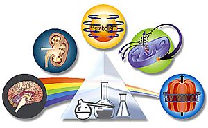 Archivo:Pharmacologyprism