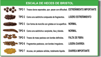 Archivo:Escala de Bristol.1