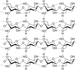 Archivo:Cellulose strand