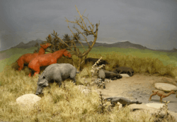 Archivo:ROM-Miocene-Diorama3