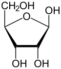 Beta-D-Ribofuranose.svg