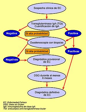 Archivo:Organigrama diagnóstico EC.3