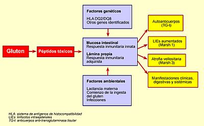 Archivo:Mecanismos patogenicos EC