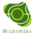 Bulbapedia logo.png