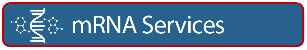 mRNA Services