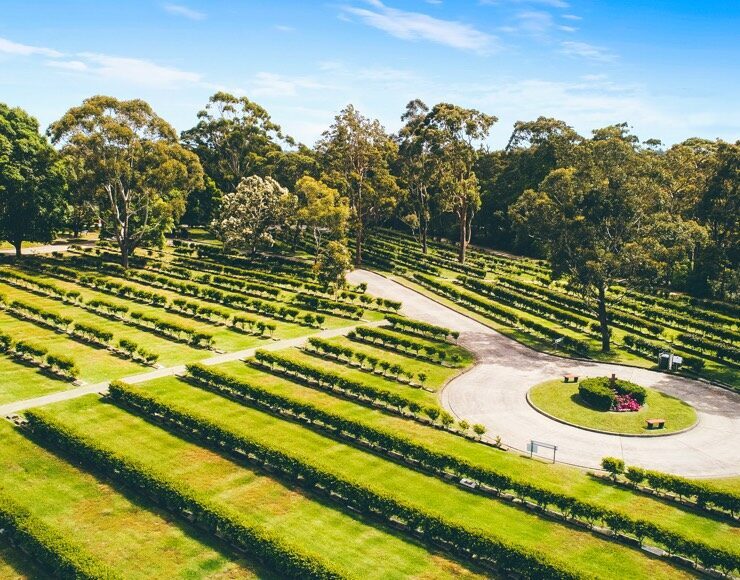 Macquarie Park Aerial Shot