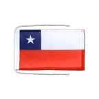 Chile Flag with ropes 8x12"