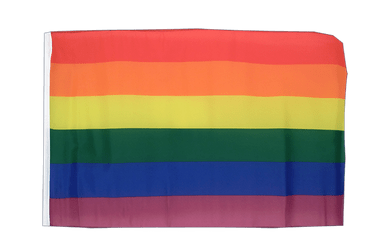 Rainbow 12x18 in Flag