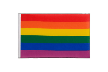 Rainbow Little Flag 6x9"