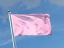 pink Flag