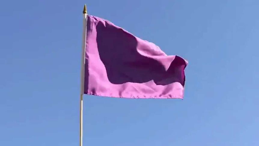 Purple - Hand Waving Flag 12x18"