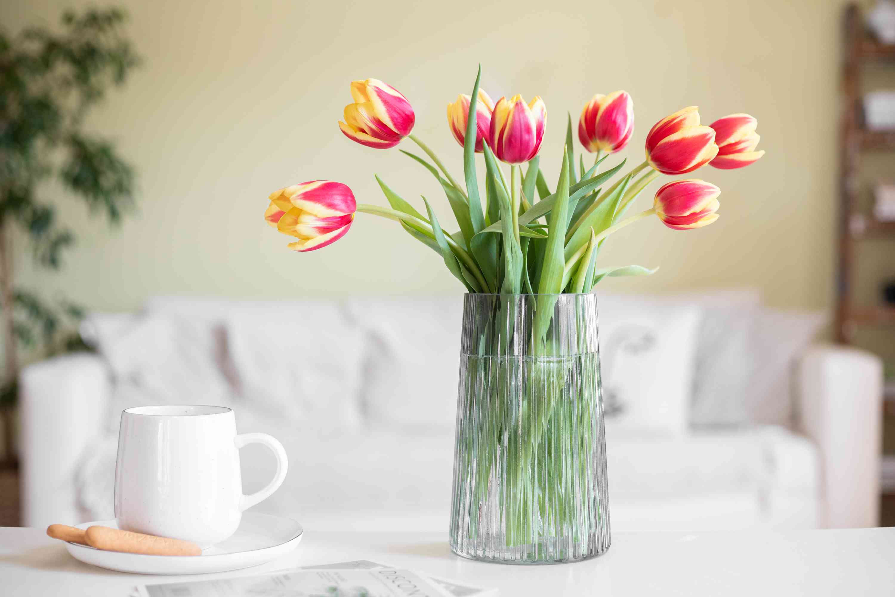 Discover The Secret To Regrowing Cut Tulips!