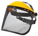 Browguard with Mesh Visor