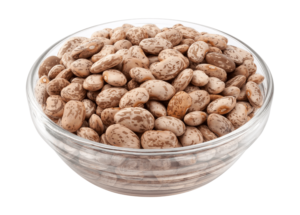 A bowl of dried Pinto beans.