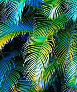 palm-leaves-LOVER-paint-by-numbers