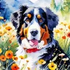 Cute Bernese Dog Paint By Number