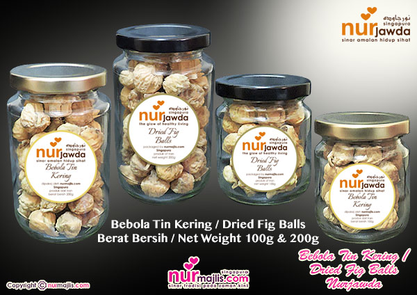 nurjawda BEBOLA TIN KERING @nurmajlis.com