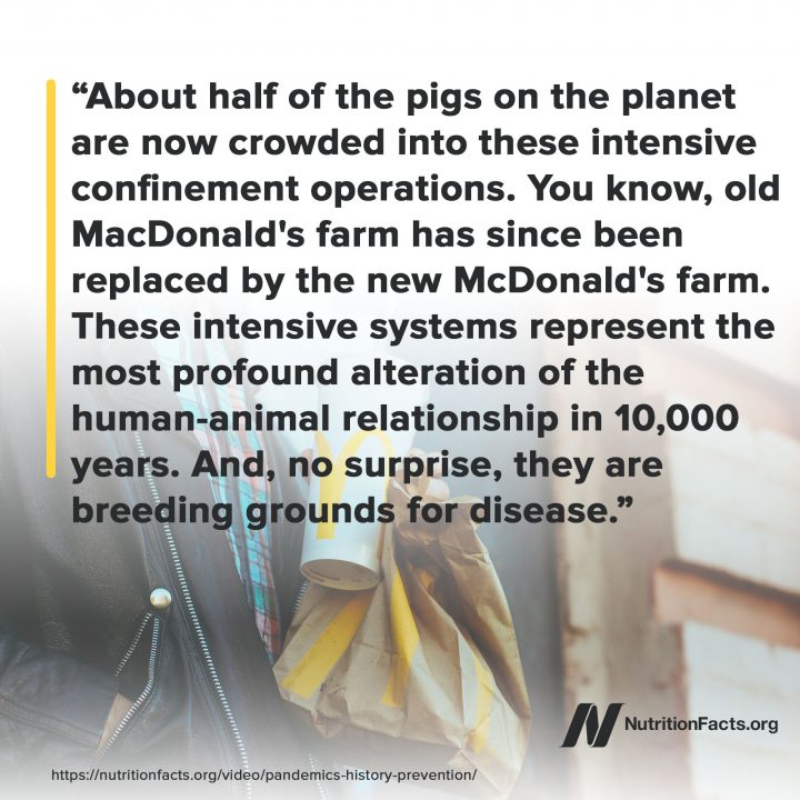 Factory Farming