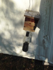 Photo 4 Trap Full of Bees – photo by Shep Eubanks 