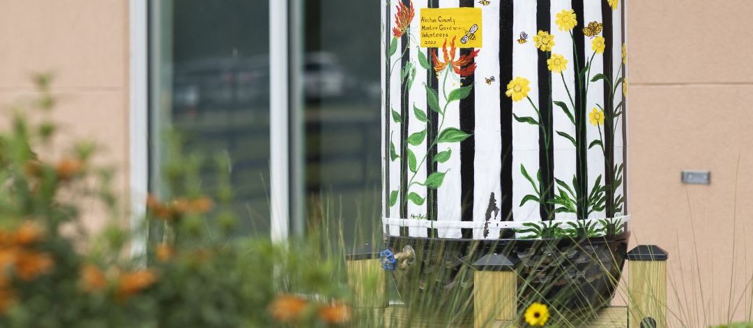 Harnessing the Power of Rain: Installing a Rain Barrel at Home