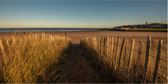 St Andrews beach